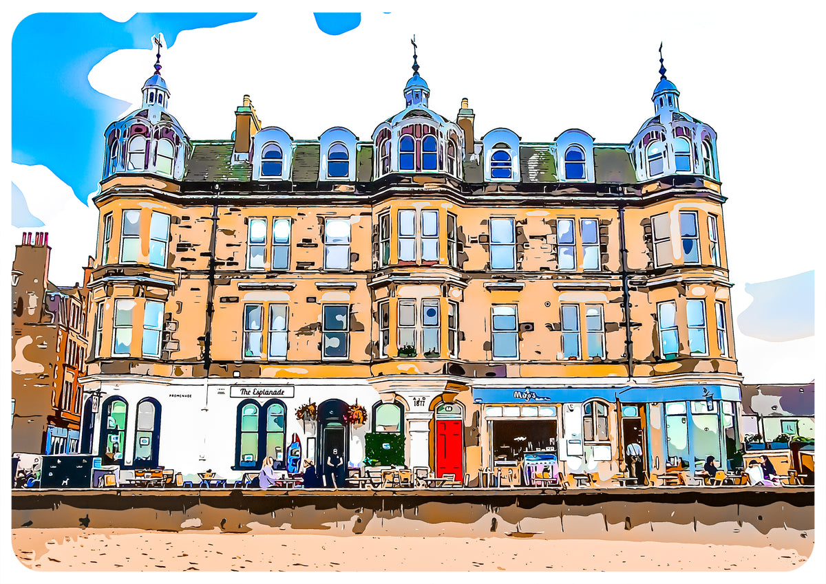Portobello #3