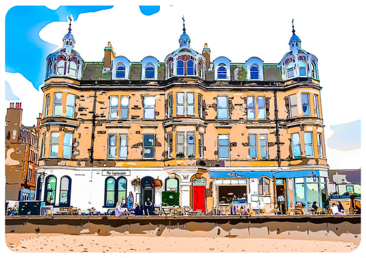 Portobello #3