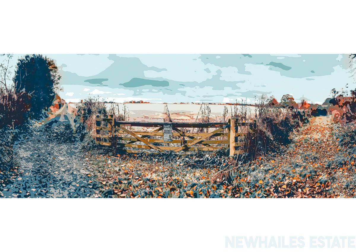 Newhailes #2 Print