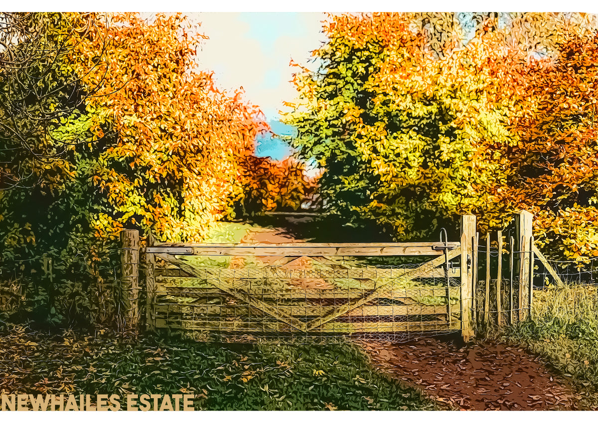 Newhailes #1 Print